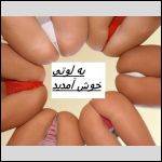 به لوتی خوش آمدید