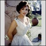 Gina Lollobrigida